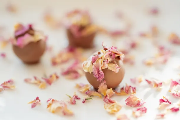 LottoKings Casino Application Android/iOS